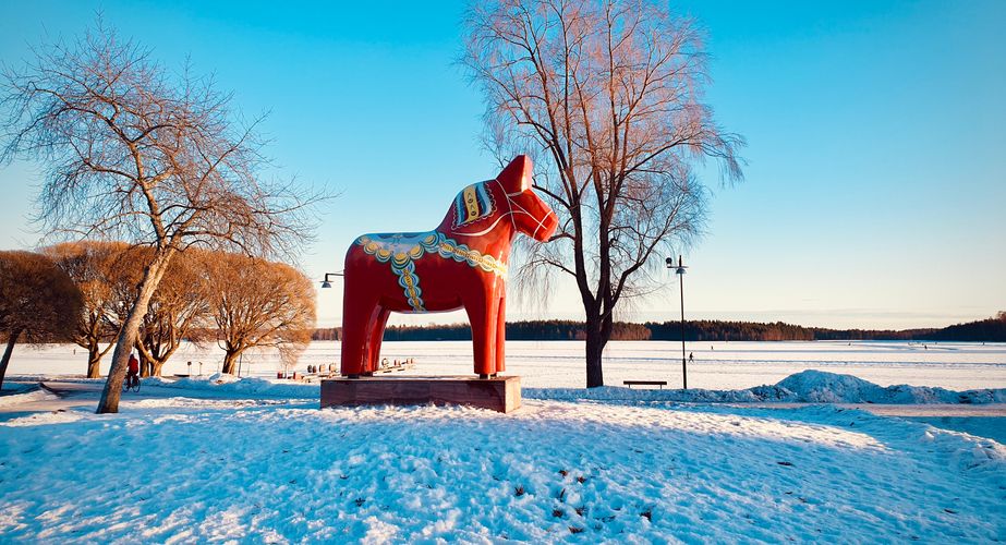 Zweden Winter Nieuw 18 Zweden Winter Nieuw 18